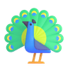 peacock