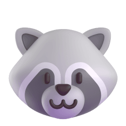 raccoon