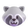 raccoon